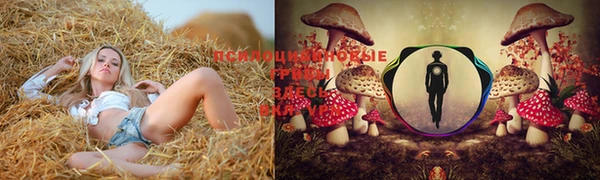 хмурый Нефтегорск